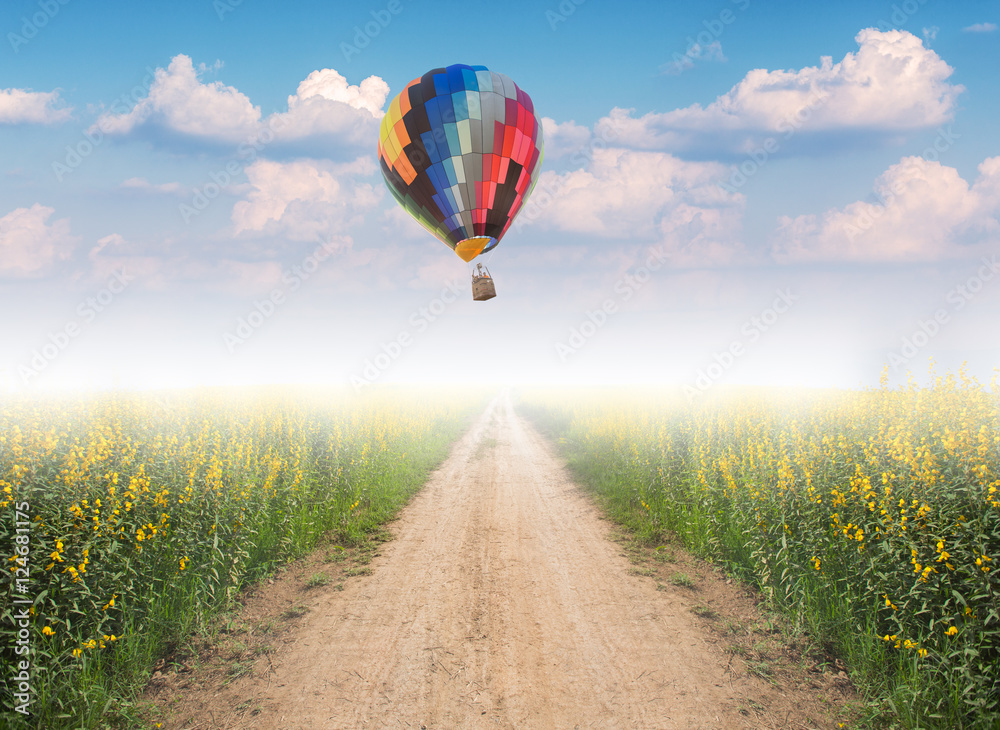 Fototapeta premium Hot air balloon over dirt road into yellow flower fields with fog