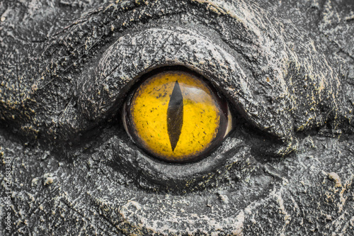 Yellow eyes of crocodiles.