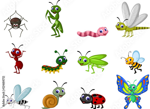 collection of insects cartoon © jihane37