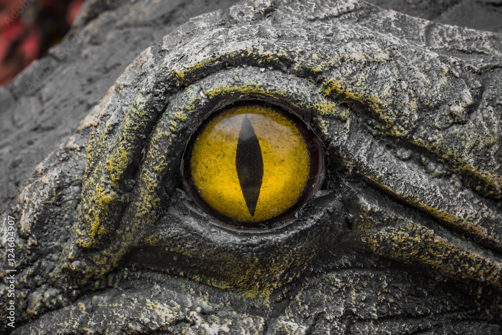 Naklejka premium Żółte oczy krokodyli.