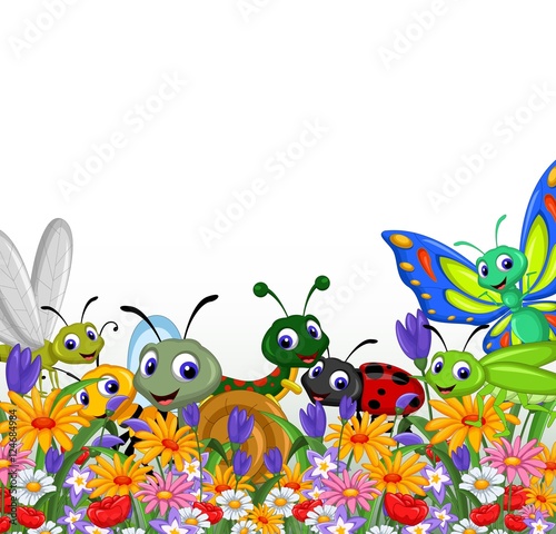 collection of insects in the flower garden
