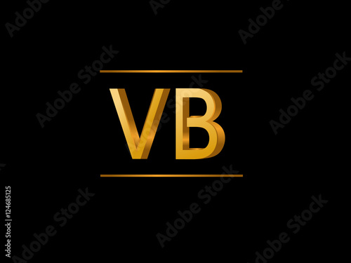 VB Initial Logo for your startup venture