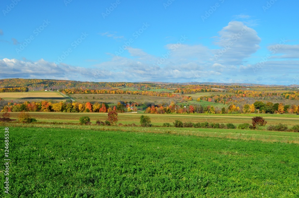 Fall Foliage on the hillside of upstate New York Stock Photo | Adobe Stock