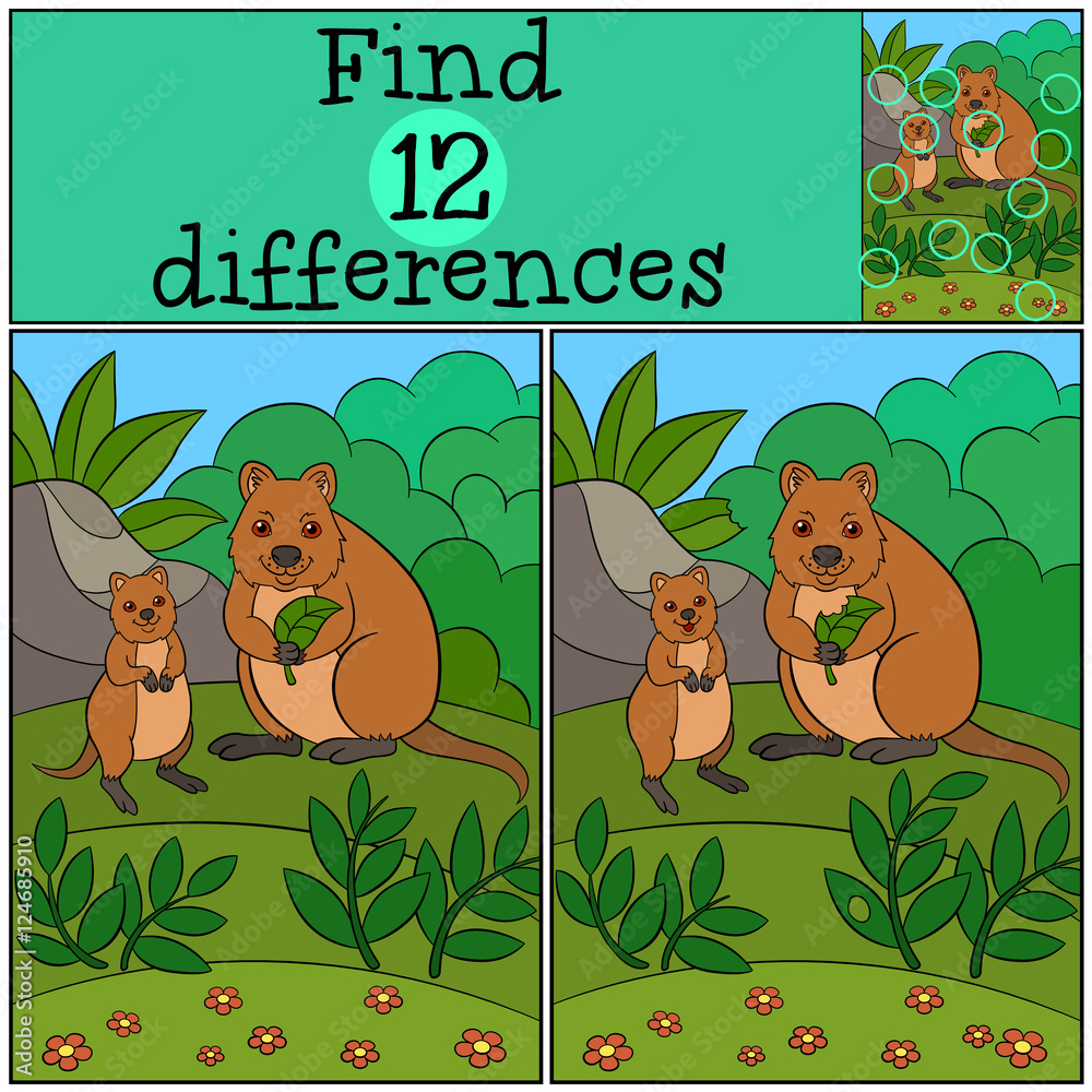 Educational game Find differences. Mother quokka with her baby. Stock