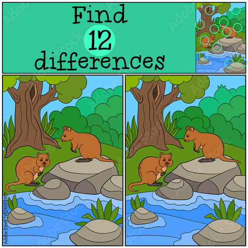 Educational game: Find differences. Two little cute quokkas.
