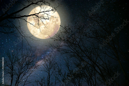 Slika na platnu Beautiful milky way star in night skies, full moon and old tree - Retro fantasy style artwork with vintage color tone