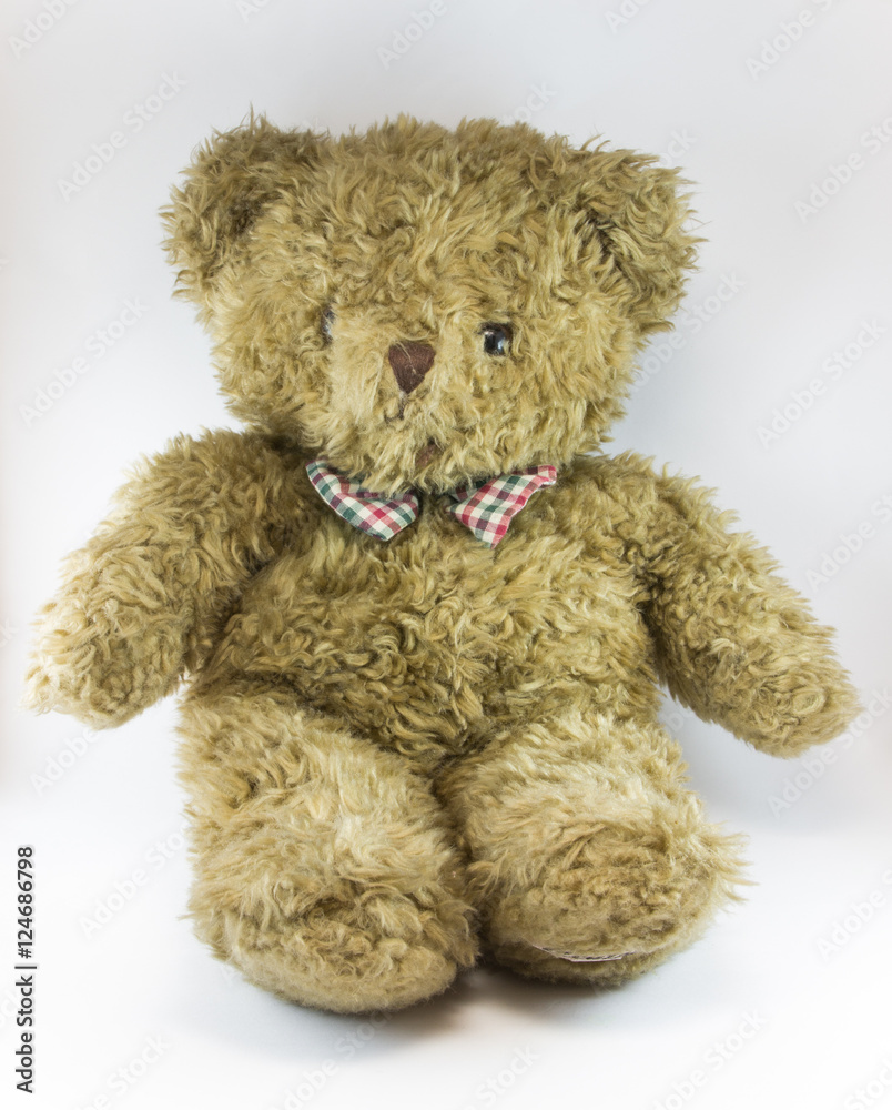 Cute Teddy Bear with white background