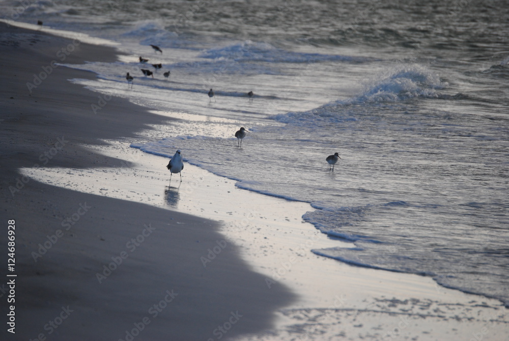 Fototapeta premium words in the sand