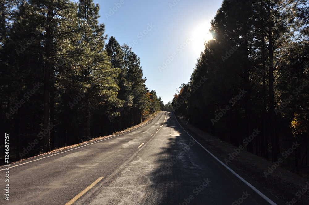 Fototapeta premium Yosemite