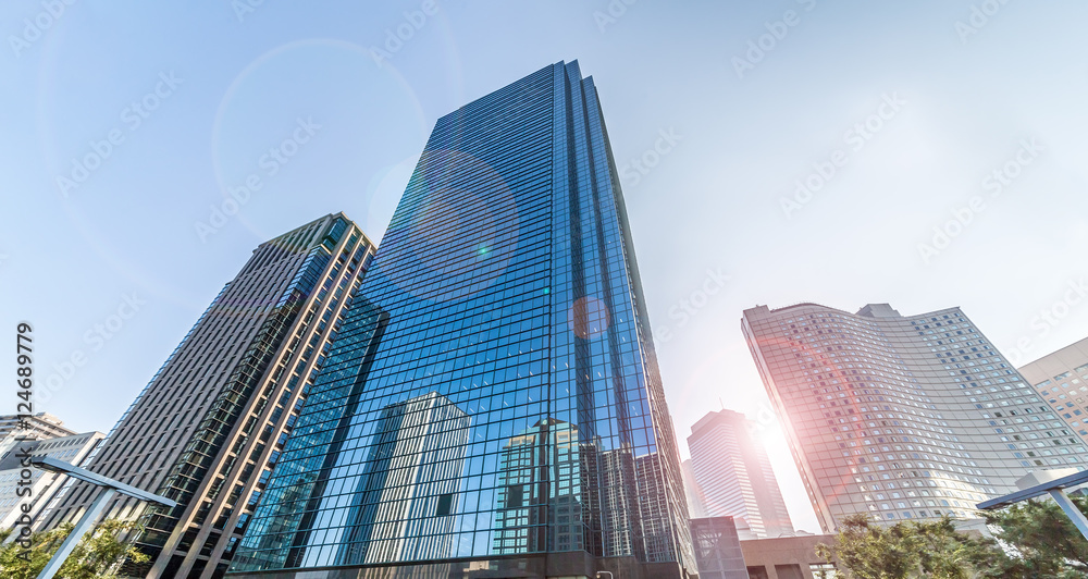 Fototapeta premium 新宿のビル群