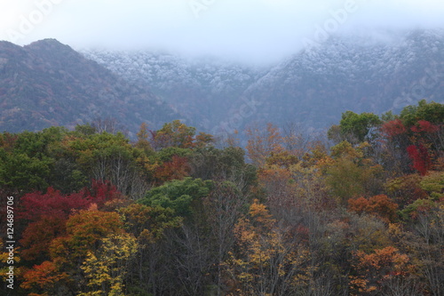 霜と紅葉と山
