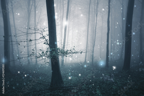 Fototapeta Naklejka Na Ścianę i Meble -  Dark blue foggy forest fairytale with fireflies bokeh background. Color filter effect used.