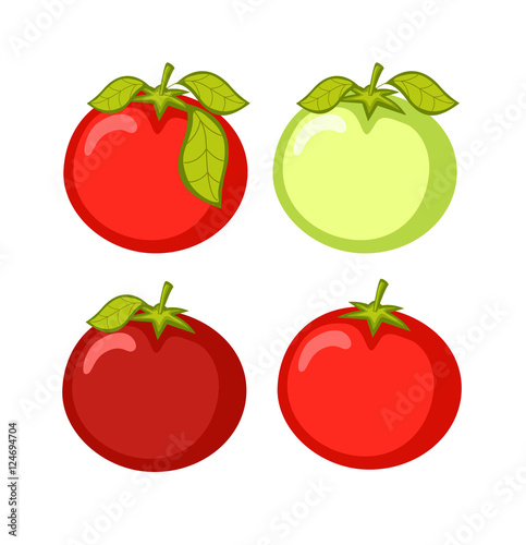 Fresh Tomatoes Vectors