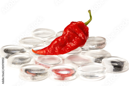 Red Ghost Chili on Glass photo
