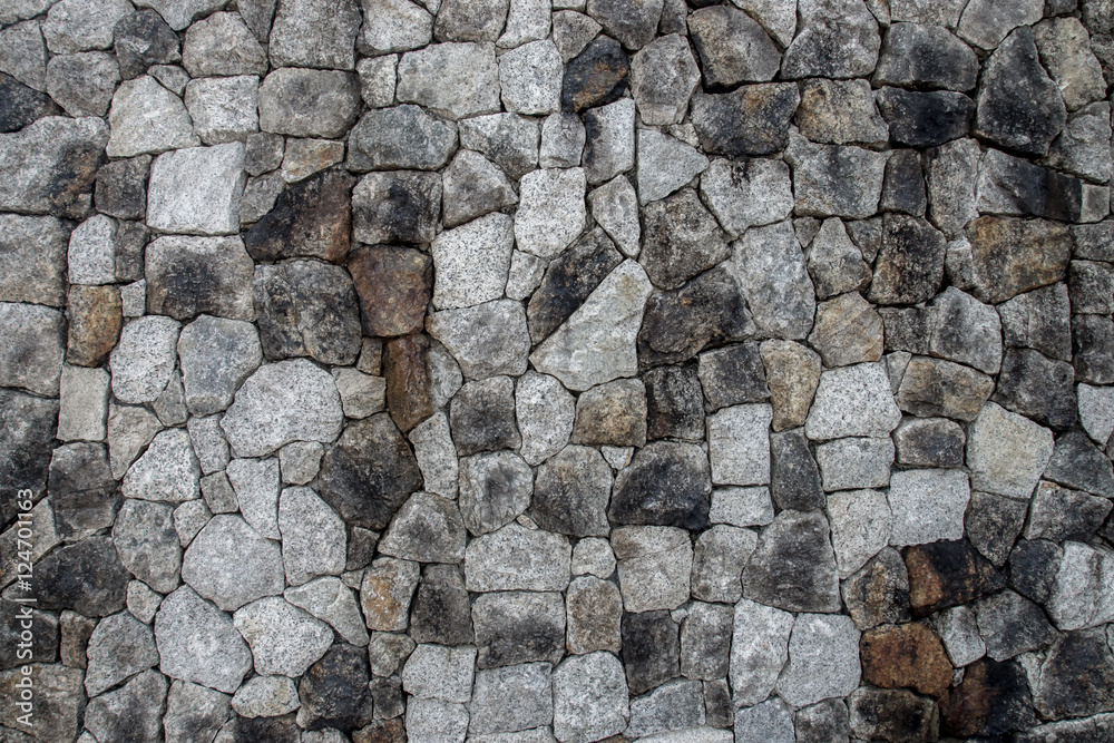 Obraz premium stone wall