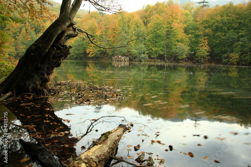 Yedigöller, Bolu, Türkiye photo