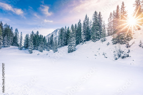 Winter sunshine in the forest - Lovely winter landscape with the evergreen fir forests warmed up by the orange sun and its rays, while everything is covered in snow. Image taken in Ehrwald, Austria.