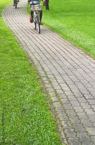 Stone Pathway in the Green Park