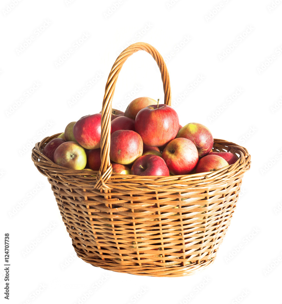 apple basket apple basket