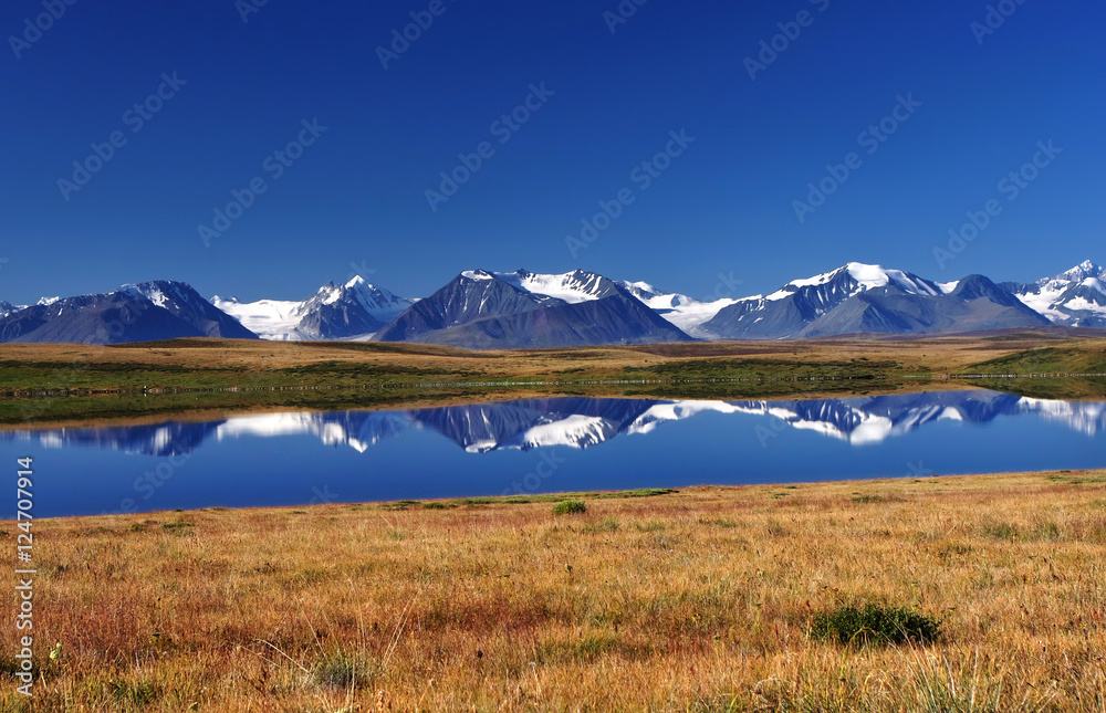 Colorful bright landscape steppe shore  lake with dry yellow grass and reflection of high mountain range with snow glaciers ice under the blue sky and white clouds Ukok Plateau Altai Siberia Russia.