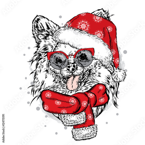 Funny Dog in Christmas hat. Vector illustration. Christmas and New Year. photo