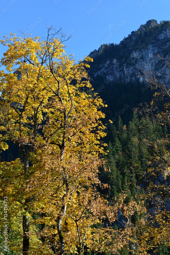 Fototapeta premium Herbst in den Ammergauer Alpen Bayern
