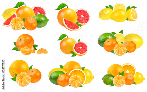 Citrus Fruit Set (tangerine, grapefruit, lime, lemon) isolated o