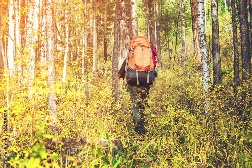 man with a backpack going up in the mountain forest man with a backpack going up in the mountain forest