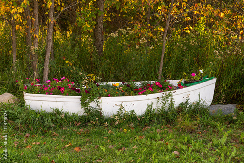 Old boat used as a flowerbed photo