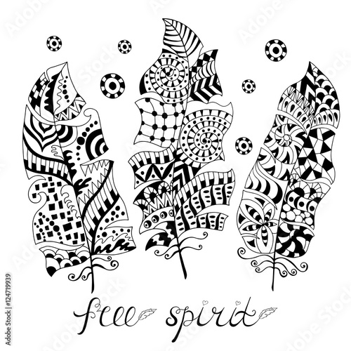 Sey of hand drawn stylized feathers.