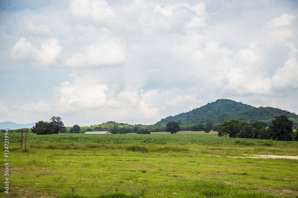 green grass mountain