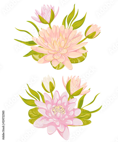 Water lily set. Collection decorative design elements for wedding invitations and birthday cards. Flowers, leaves and buds. Vintage hand drawn vector illustration in watercolor style. 
