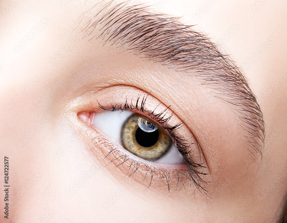 Obraz premium Female hazel eye makeup