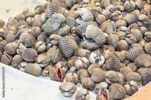 Fresh blood cockles in sea food market photo