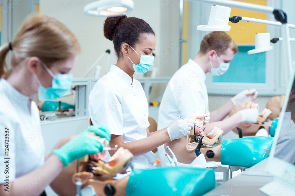 Obraz premium Students of stomatology