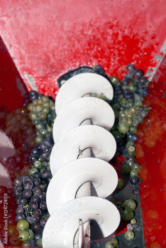 Electric grape crusher or stemmer photo