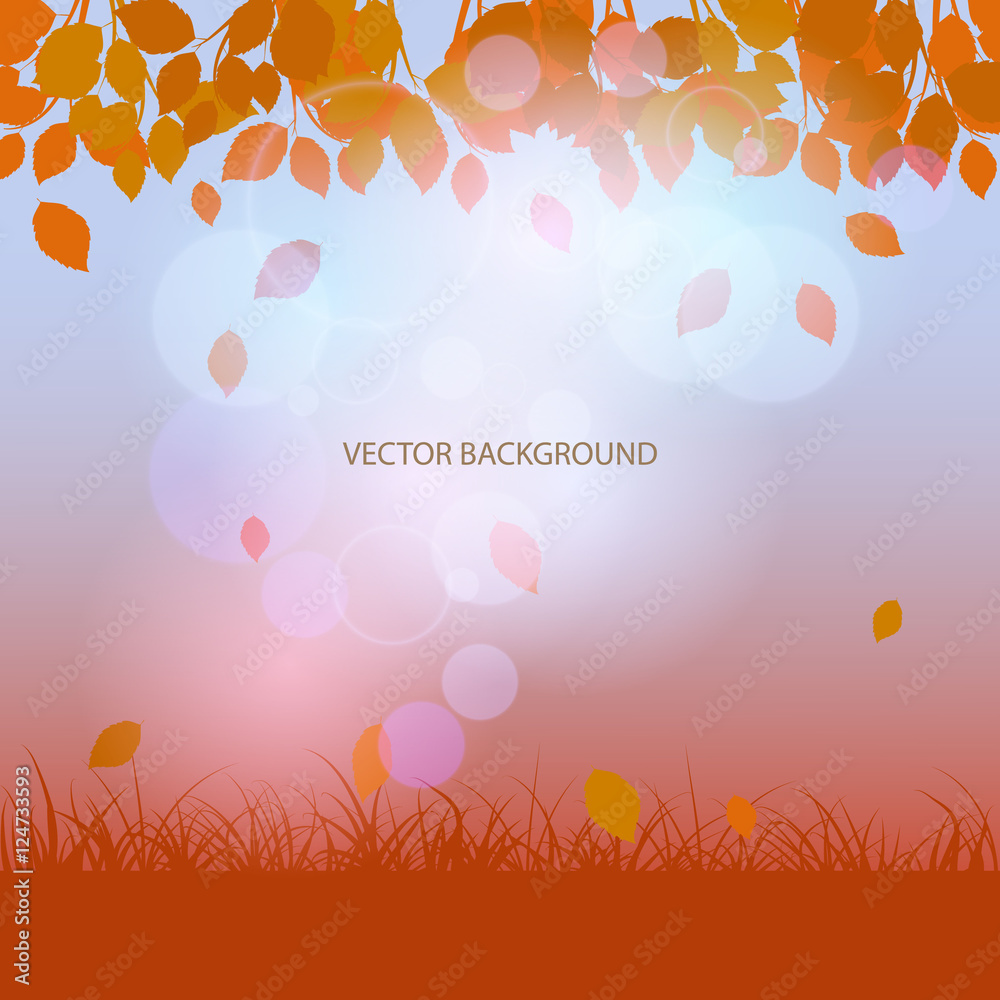 Autumn background with falling leaves, grass and patches of ligh