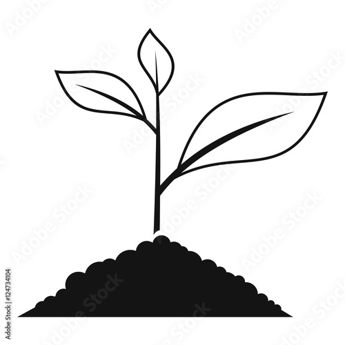 Growing plant icon. Simple illustration of growing green plant vector icon for web photo