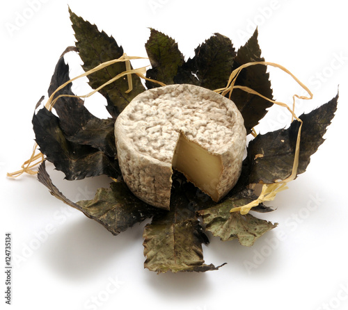 Formaggio di capra in foglie di castagno Goat's cheese in chestnut leaves Queso de cabra en hojas de castaño Burja Ser kozi w liściach kasztanowca Ziegenkäse in Kastanienblättern photo