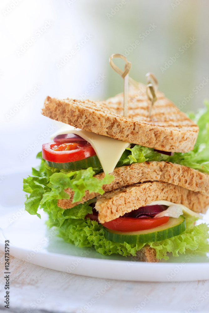 Homemade tasty vegetarian sandwich with fresh vegetables and cheese, closeup