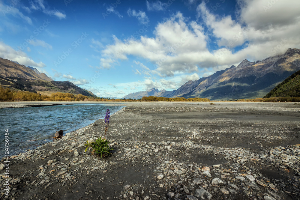 Fototapeta premium Lake Wakatipu between Queentown and Glenorchy in the South Islan