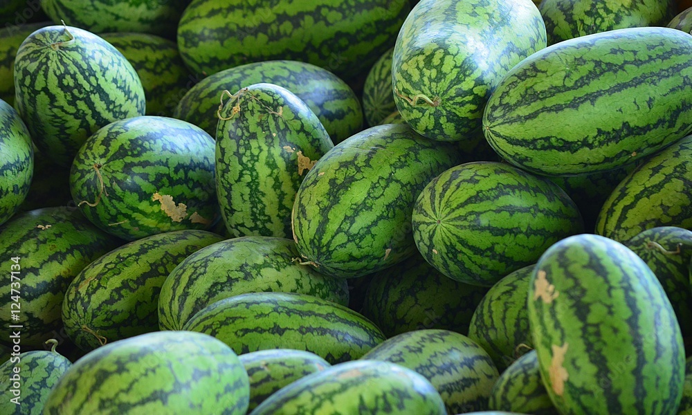 the watermelon fruit for sell and good for diet the watermelon fruit for sell and good for diet