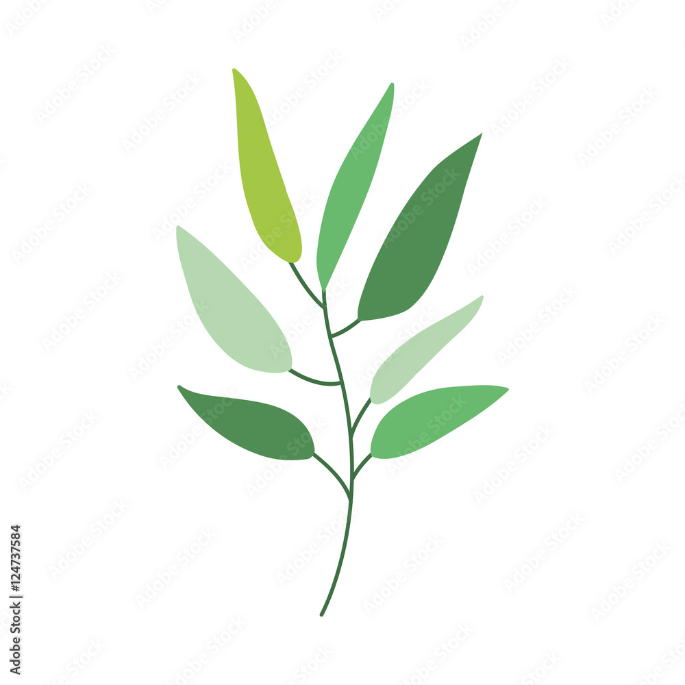 Branches with leaves icon over white background. plant natural decoration theme. vector illustration