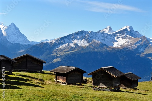 Mägisalp auf dem Hasliberg im Berner Oberland, Schweiz - im Hintergrund Schweizer Berge mit Schnee