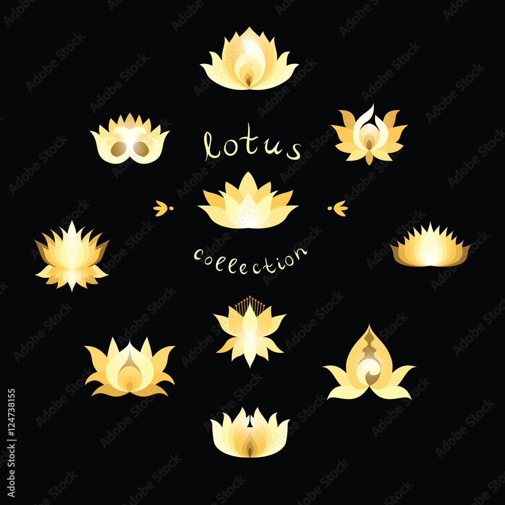 Shining Golden Lotuses Collection Shining Golden Lotuses Collection