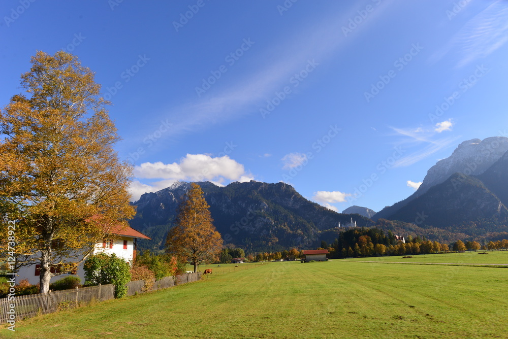 Ammergauer Alpen Bayern 