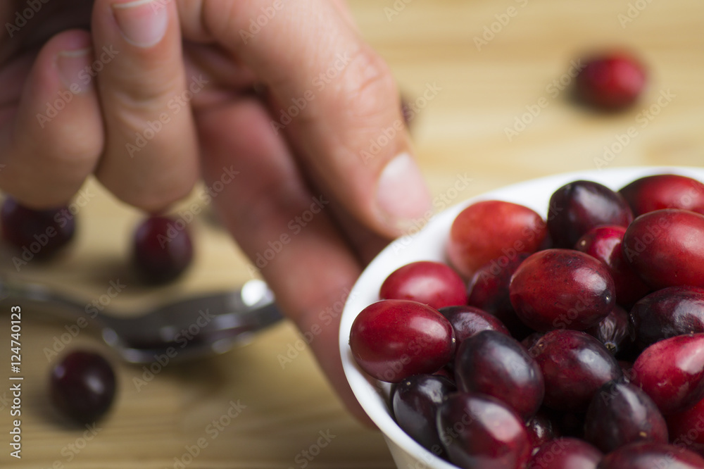 Frisch servierte Cranberries in einer Schale Frisch servierte Cranberries in einer Schale