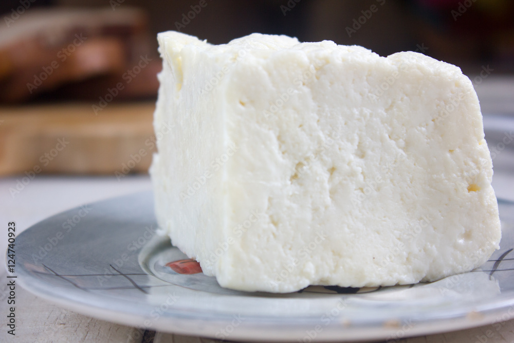 Traditional indian cheese panneer prepared form fresh milk on plate