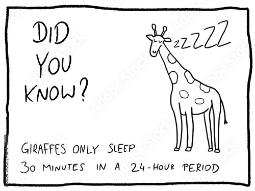 Giraffe - cartoon funny trivia fact