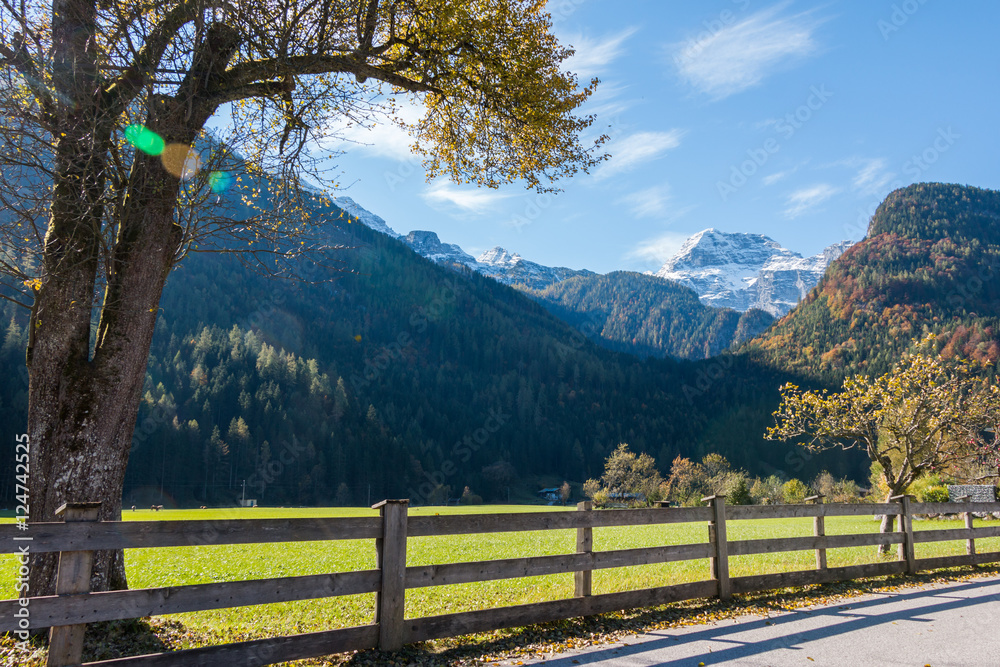 Beschneite Berge und bunte Bäume, Alpen